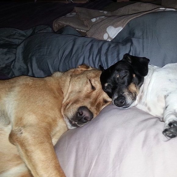 Meet your Posher, Leslie - Picture 1 of 1